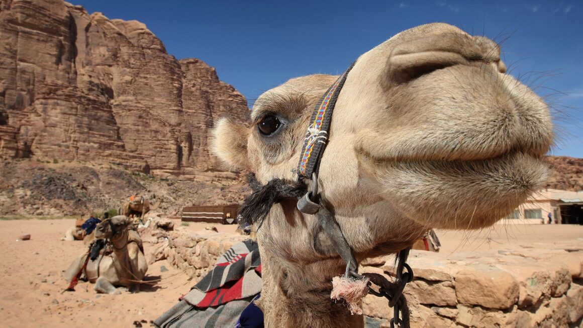 2024'te Ziyaret Edilmesi Gereken En İyi 10 Fotoğrafçılık Lokasyonu 30 petra urdun 1