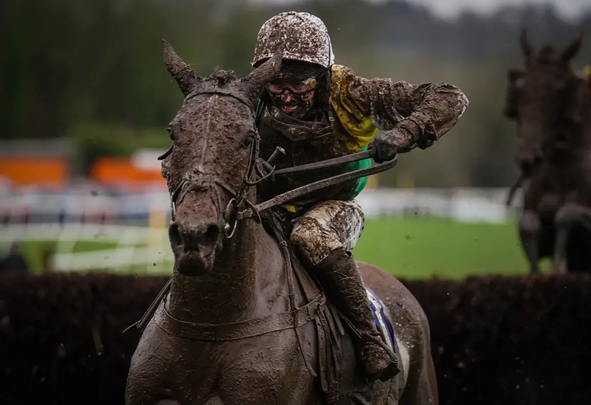 David Davies Glorious Mud