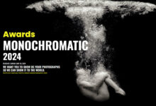 Monochrome Awards 2024 39 Monochromatic Awards 2024