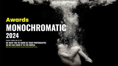 Monochrome Awards 2024 12 Monochromatic Awards 2024