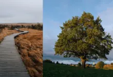 Bir Fotoğrafçı Gibi Görmenize Yardımcı Olabilecek Altı Yol 14 OM SYSTEM Chris Eyre Walker