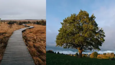 Bir Fotoğrafçı Gibi Görmenize Yardımcı Olabilecek Altı Yol 27 OM SYSTEM Chris Eyre Walker