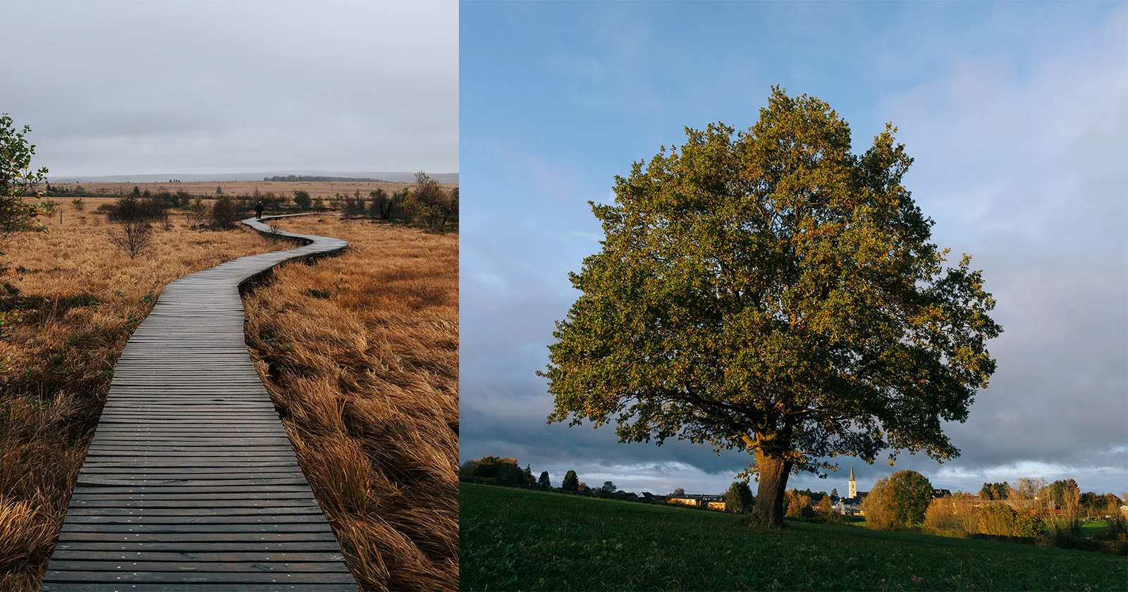 Bir Fotoğrafçı Gibi Görmenize Yardımcı Olabilecek Altı Yol 1 OM SYSTEM Chris Eyre Walker
