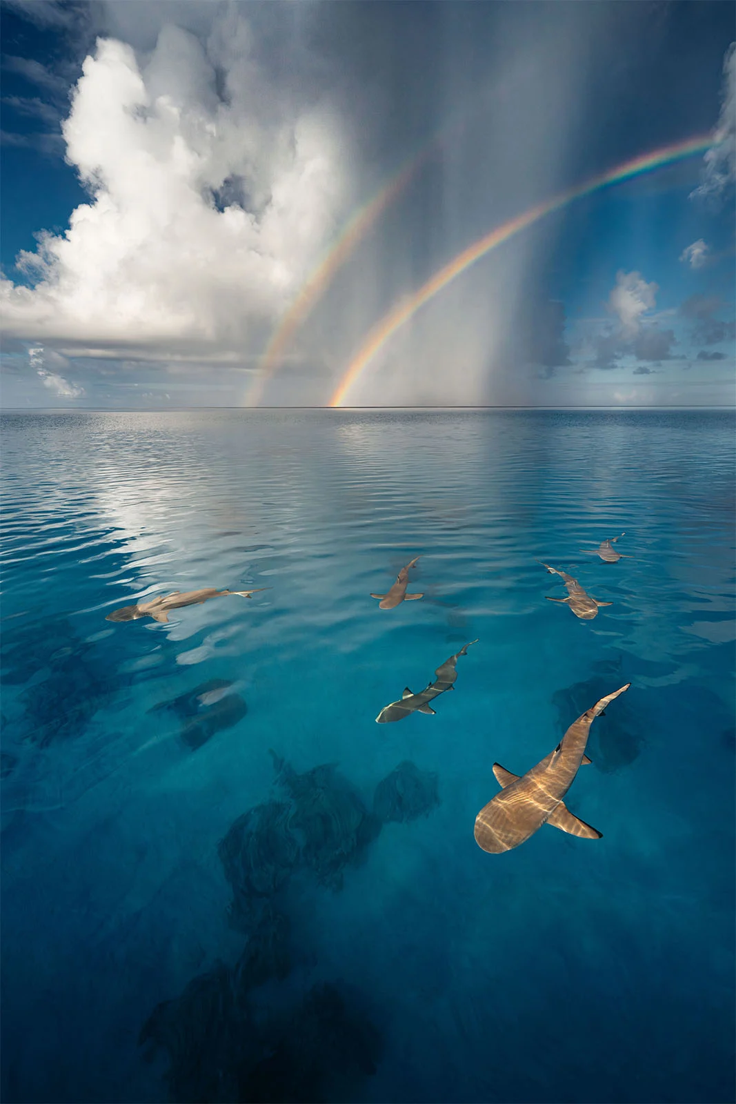 15 Dünya Okyanus Günü Fotoğraf Yarışması Kazananları 15 UNWOD2024 Above Water Seascapes 2nd Place Emmett Sparling A Slice of Heaven in the Tuamotus