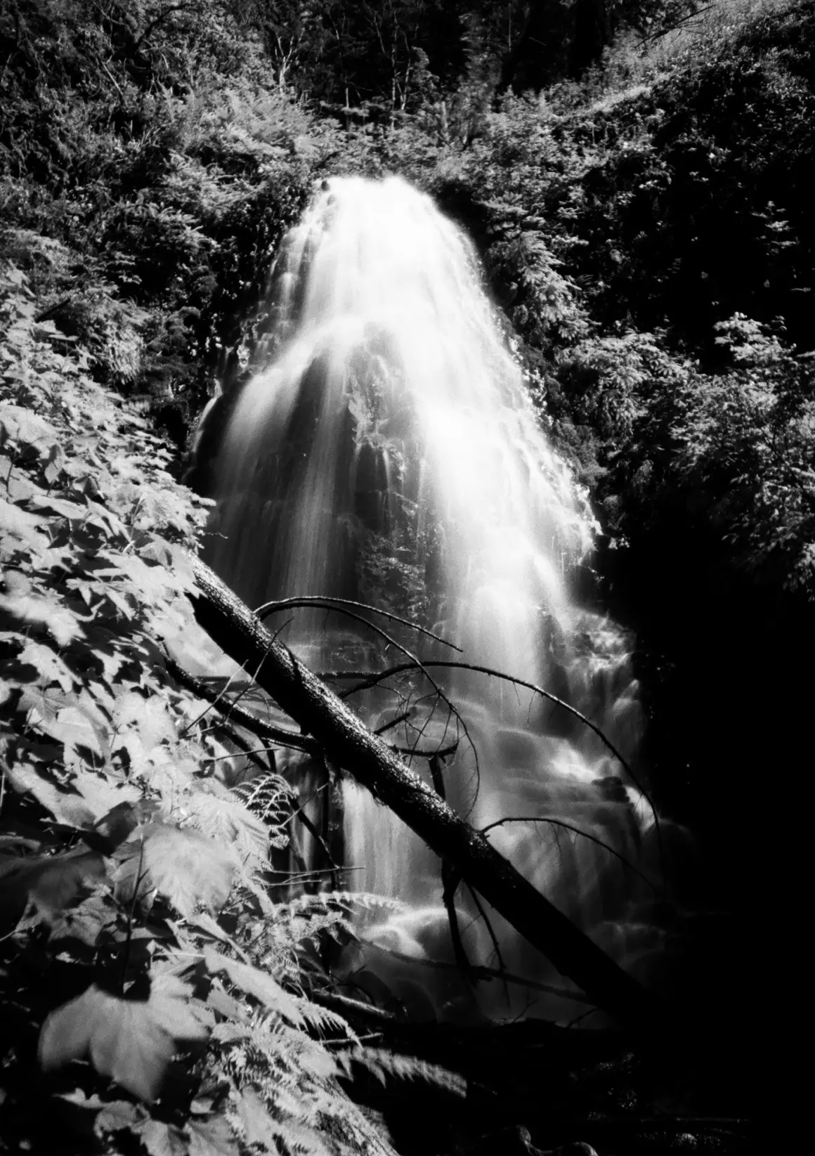 Pentax 17 İncelemesi 16 pentax 17 003