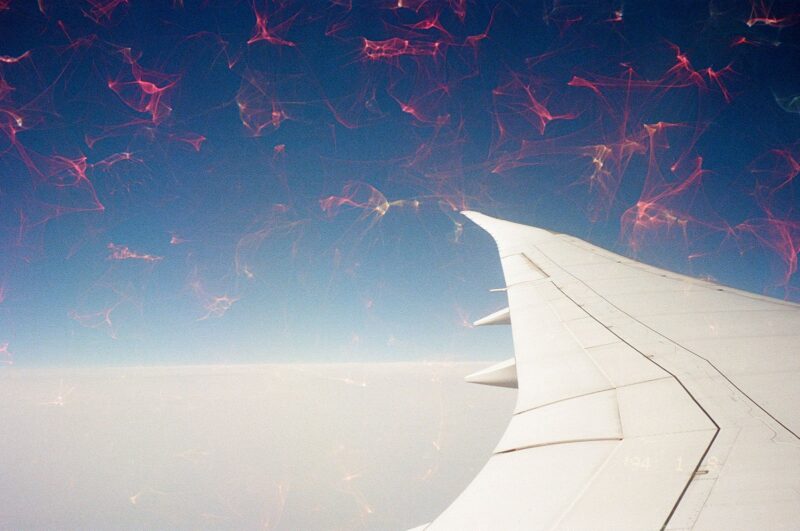 revolog echo film 13