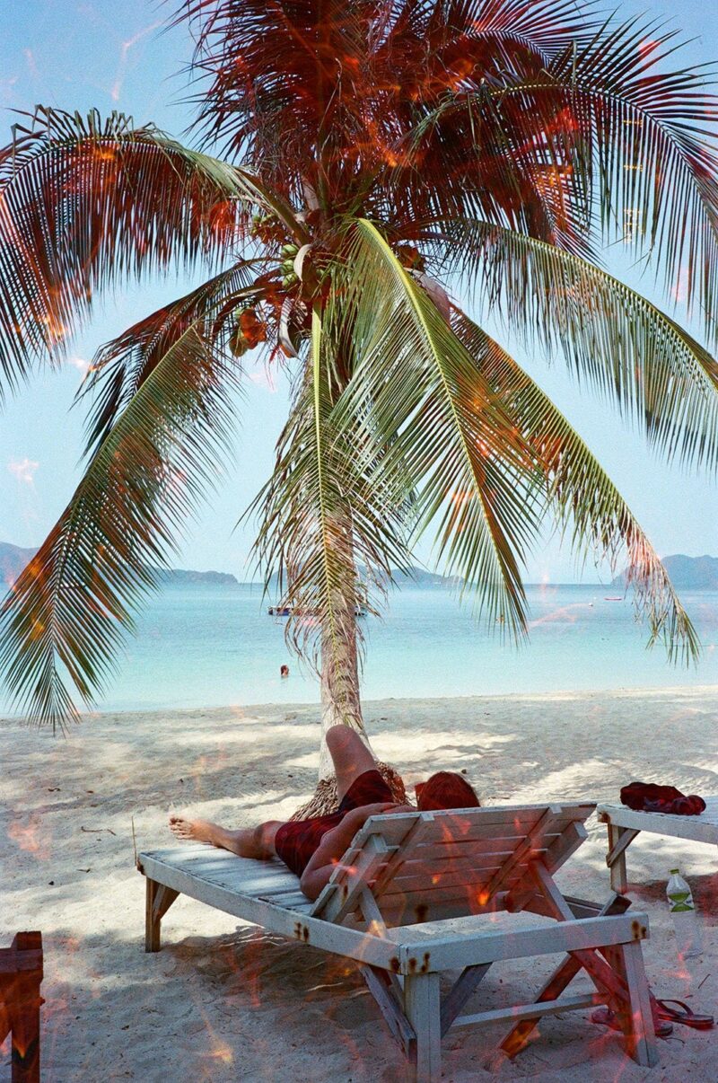 revolog echo film 14