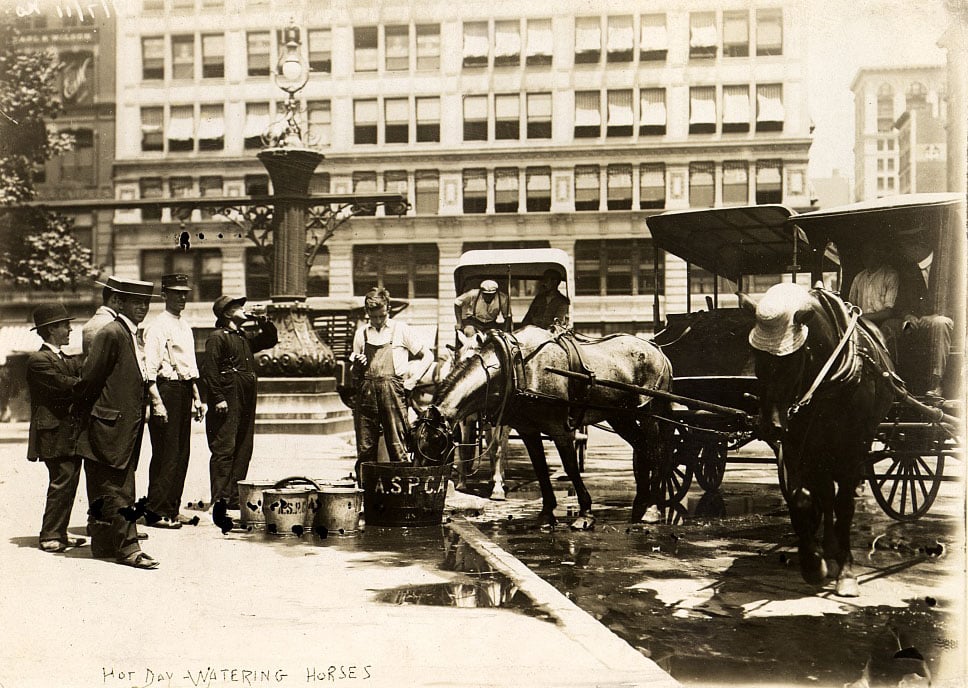 1911'den Fotoğraflar New York'un Ölümcül Sıcak Hava Dalgasıyla Mücadelesini Gösteriyor 18 1911den Fotograflar New Yorkun Olumcul Sicak Hava Dalgasiyla Mucadelesini Gosteriyor 016