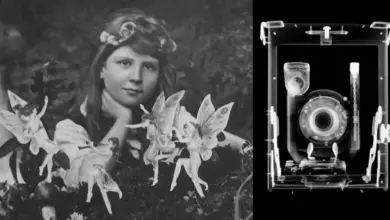 Cottingley fairies