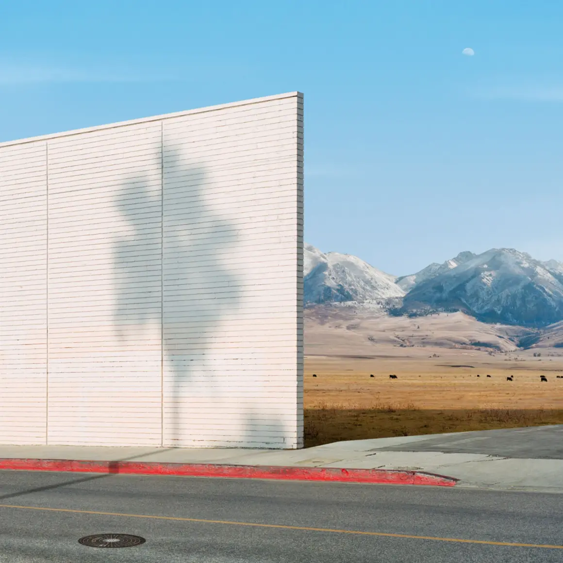 George Byrne : Synthetica 10 Fountain Ave