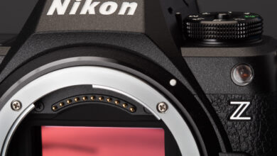Nikon Z6 III ve Nikon Zf 8 Nikon z6iii sensor crop