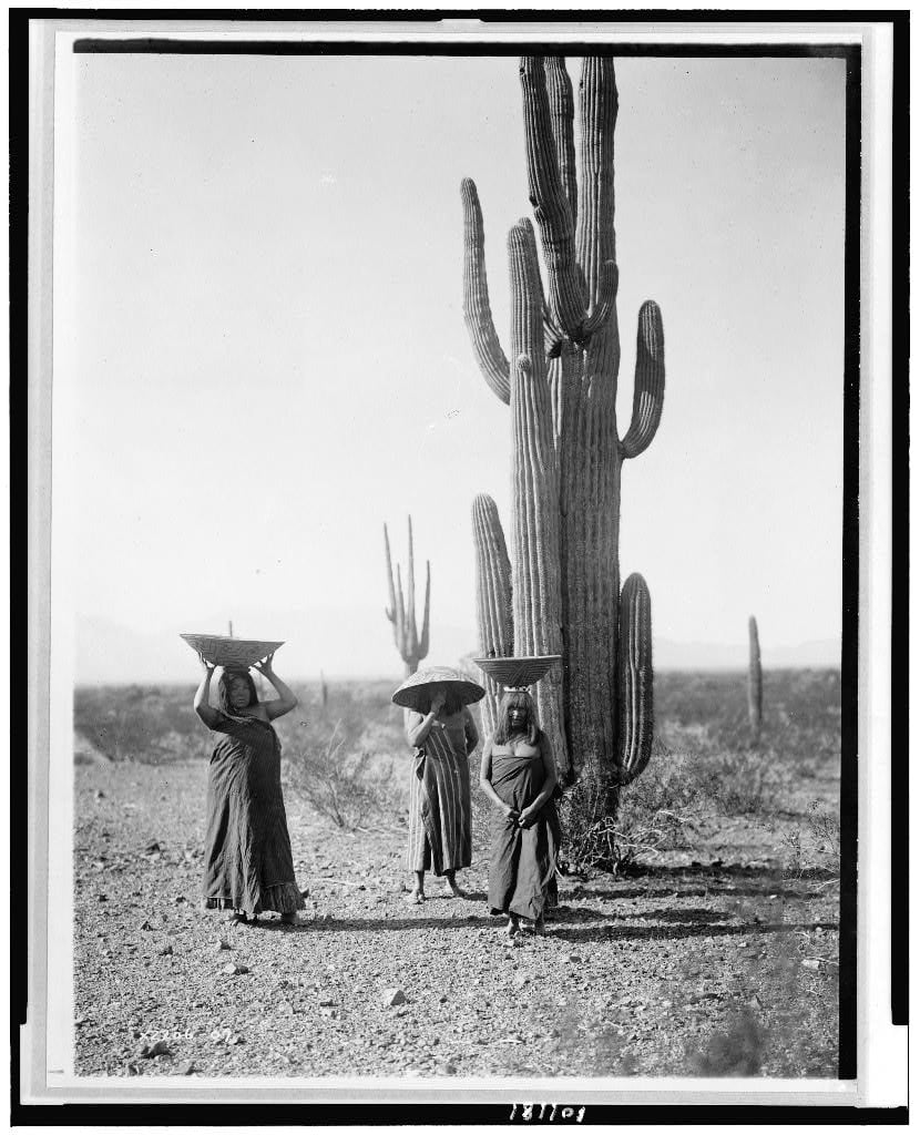 Edward S. Curtis : The North American Indian 23 service pnp cph 3c00000 3c01000 3c01100 3c01181v