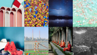 2024 iPhone Fotograf Odulleri