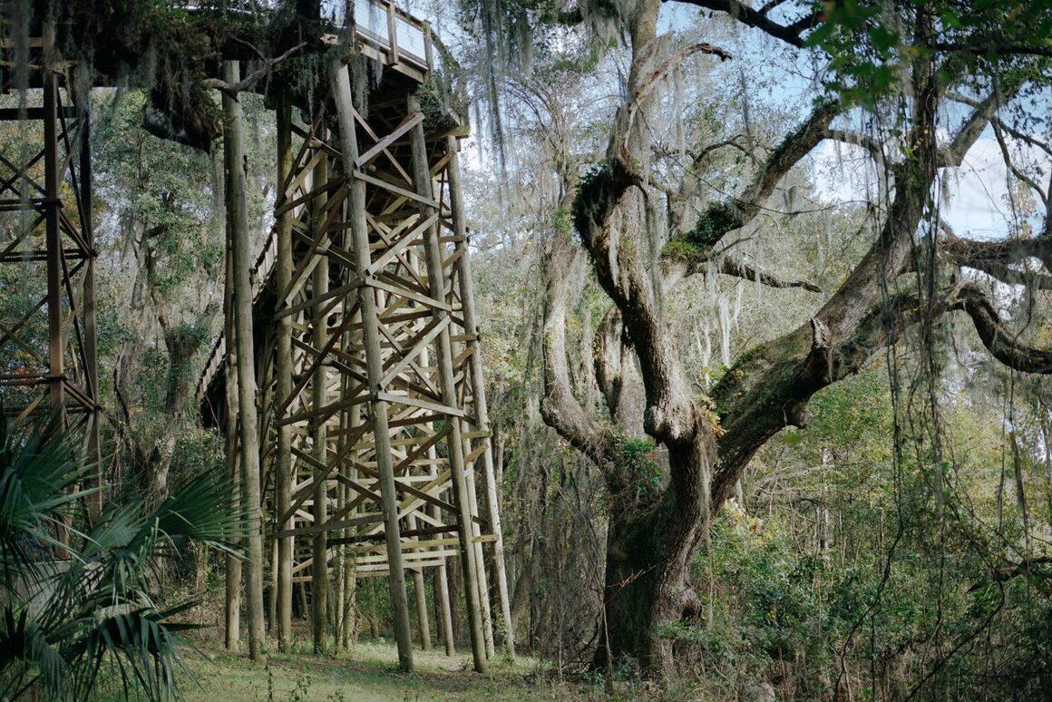 2024 Feature Shoot Emerging Photography Awards 10 GlebSimonov OldGrowth 03