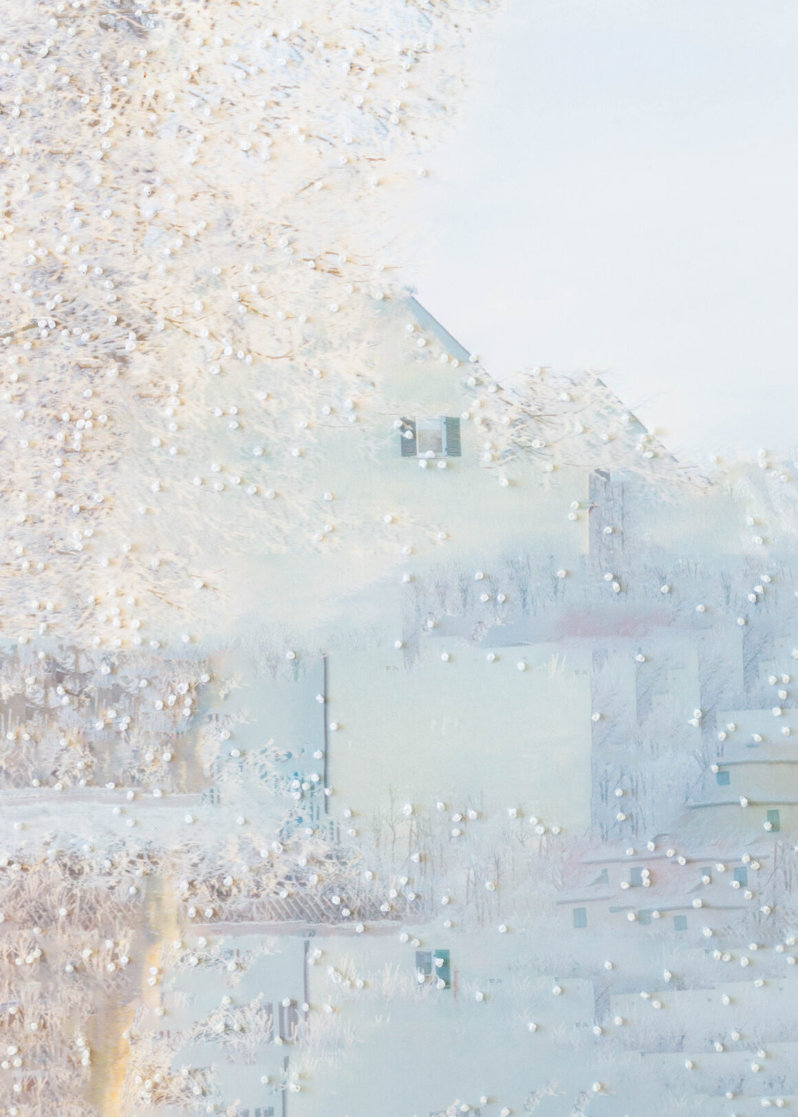 2024 Feature Shoot Emerging Photography Awards 41 NaohiroMaeda 02