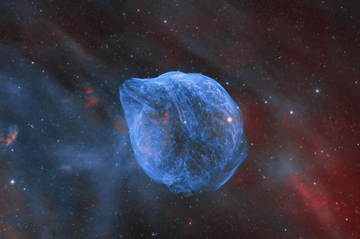 16. Geleneksel Yılın Astronomi Fotoğrafçısı yarışması 2024 13 SH2 308 Dolphin Head Nebula © Xin Feng Miao Gong