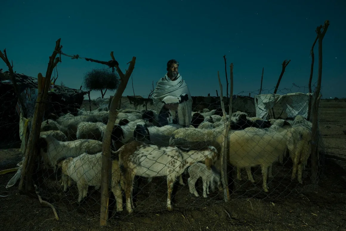2024 Feature Shoot Emerging Photography Awards 15 The cattle yard Chinky Shukla