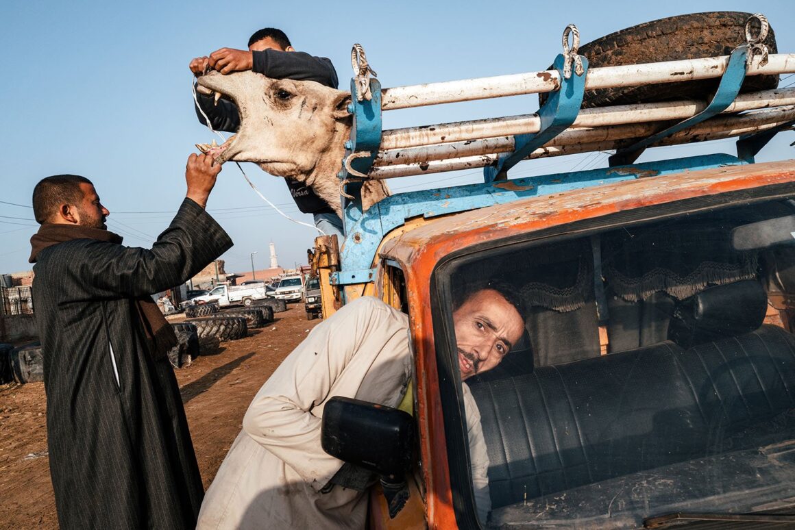 2024 Feature Shoot Emerging Photography Awards 1 Feature Shoot Emerging Photography Awards
