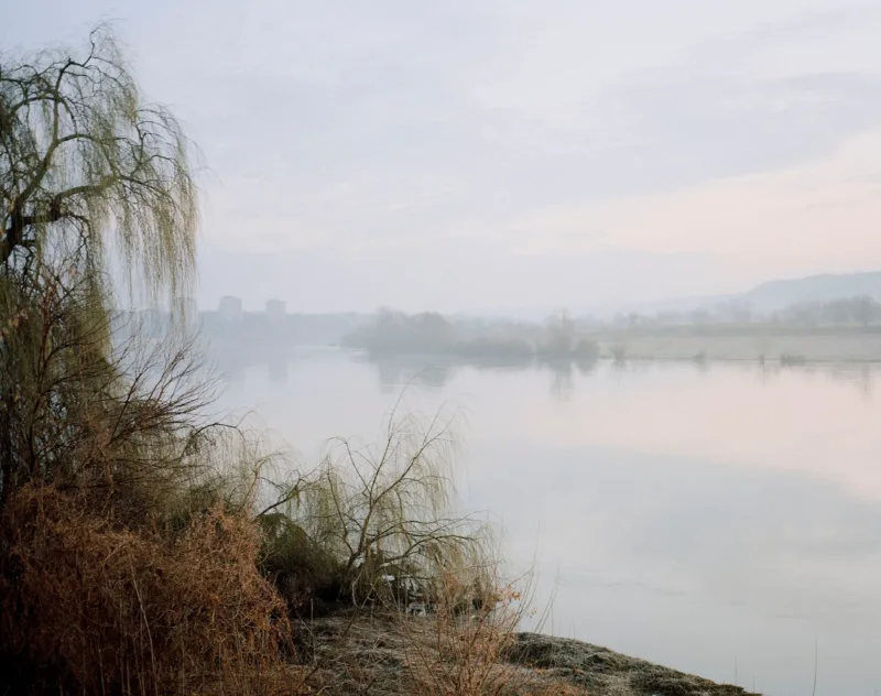 ludwig nikulski 16x24 1