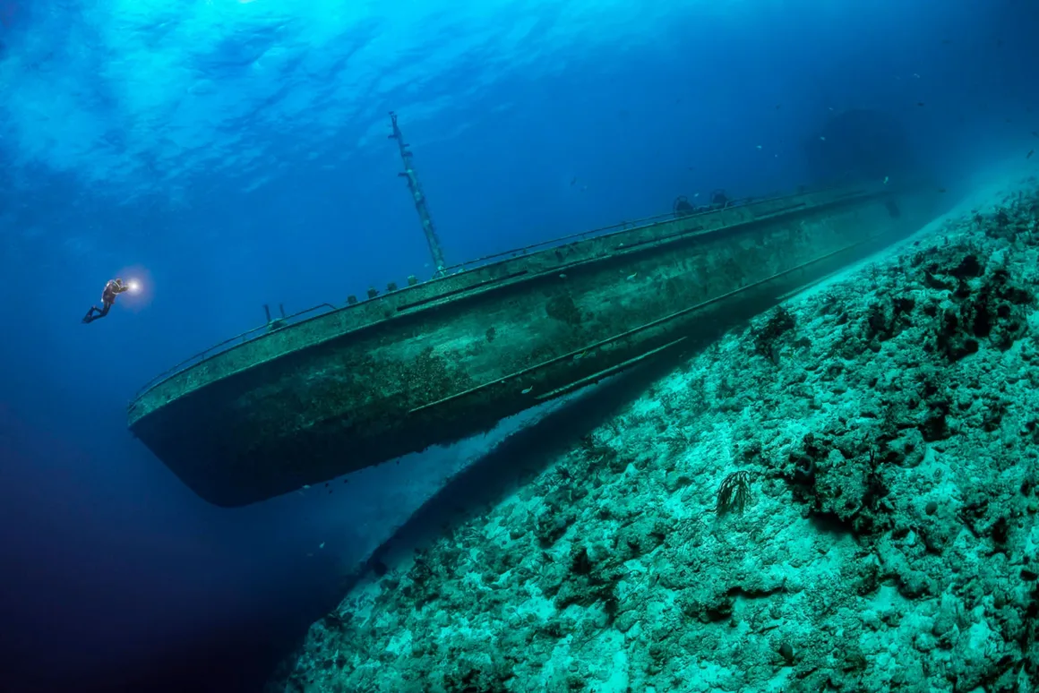 The Ocean Photographer of the Year 2024 4 ocean poty adventure photographer friedrich 1