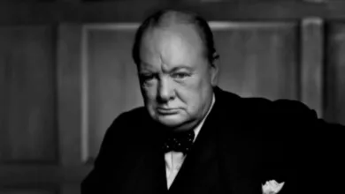 Kanada'da Çalınan Simgesel Churchill Portresi İtalya'da Bulundu 6 roaring lion yousuf karsh