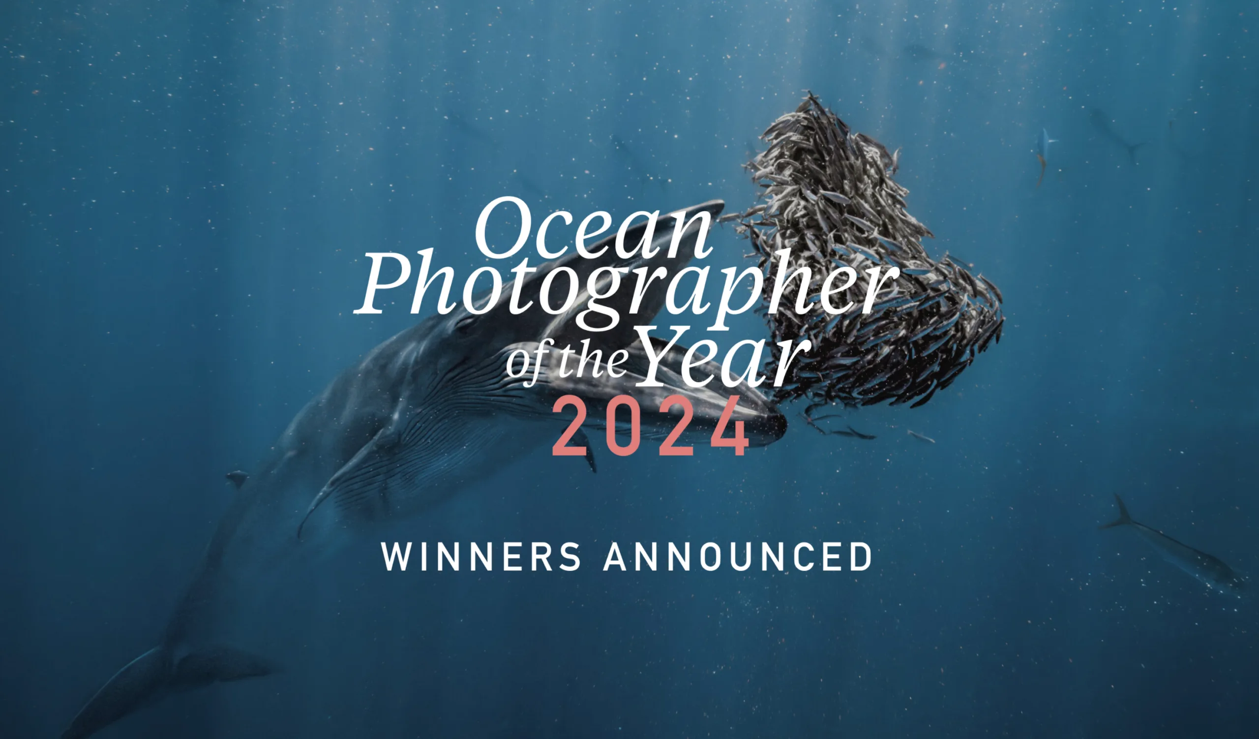 2024 Yılının Okyanus Fotoğrafçısı ödüllerinin kazananları 1 2024 Yilinin Okyanus Fotografcisi odullerinin kazananlari scaled png