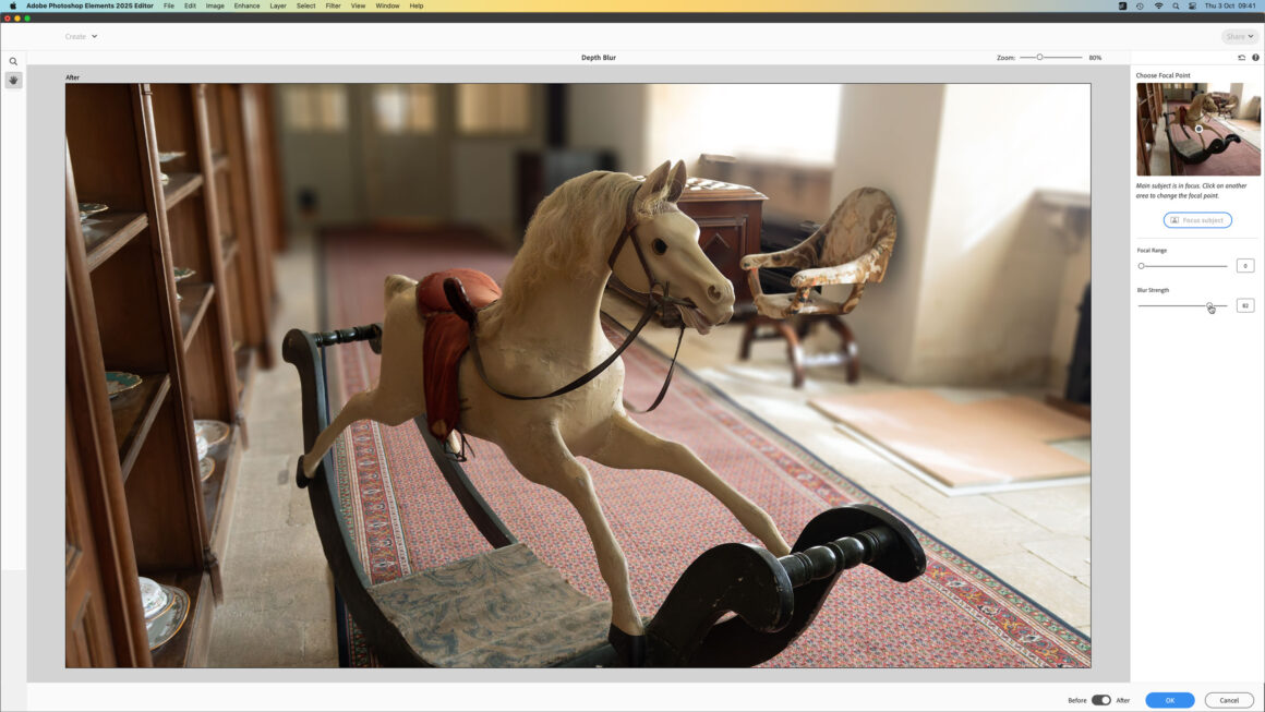 Adobe Photoshop Elements 2025 incelemesi 7 Adobe Photoshop Elements 2025 incelemesi 006