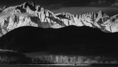 Muhteşem Ansel Adams Baskı Koleksiyonu Satıldı 59 Muhtesem Ansel Adams Baski Koleksiyonu Muzayedede Yaklasik 46 Milyon Dolara Satildi