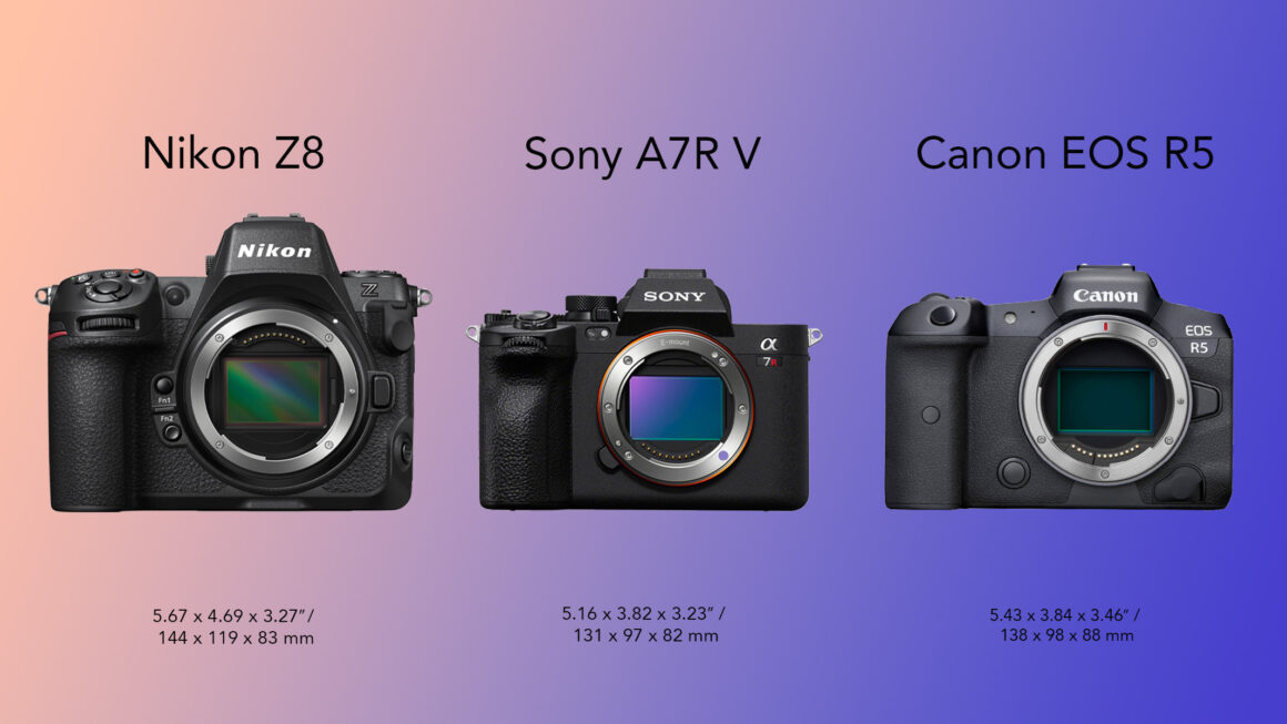 Nikon Z8 vs Sony A7R V vs Canon EOS R5 5 Nikon Z8 vs Sony A7R V vs Canon EOS R5 001