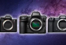 Nikon Z8 vs Sony A7R V vs Canon EOS R5 13 Nikon Z8 vs Sony A7R V vs Canon EOS R5