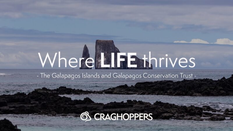 where life thrives the galapagos