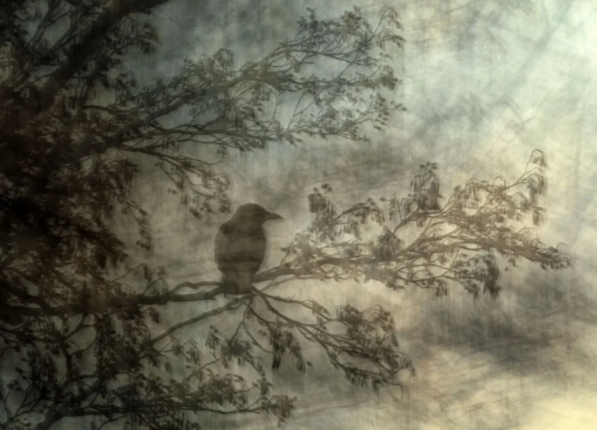 2024 Yılının Yaban Hayatı Fotoğrafçısı 13 © Jiri Hrebicek Wildlife Photographer of the Year