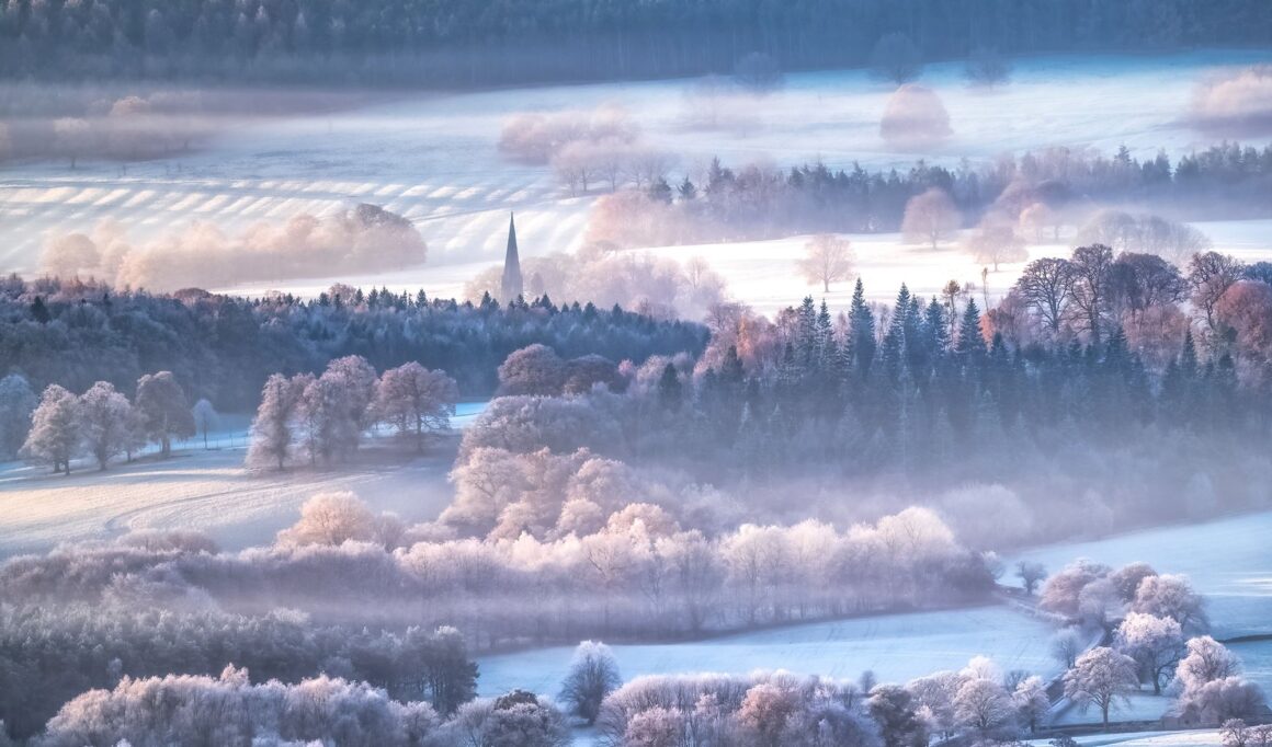 Yılın Hava Fotoğrafçısı Ödülü'nün Muhteşem Kazananları 2024 3 2. 2nd Place Main Title Hoarfrost Heaven Andy Gray