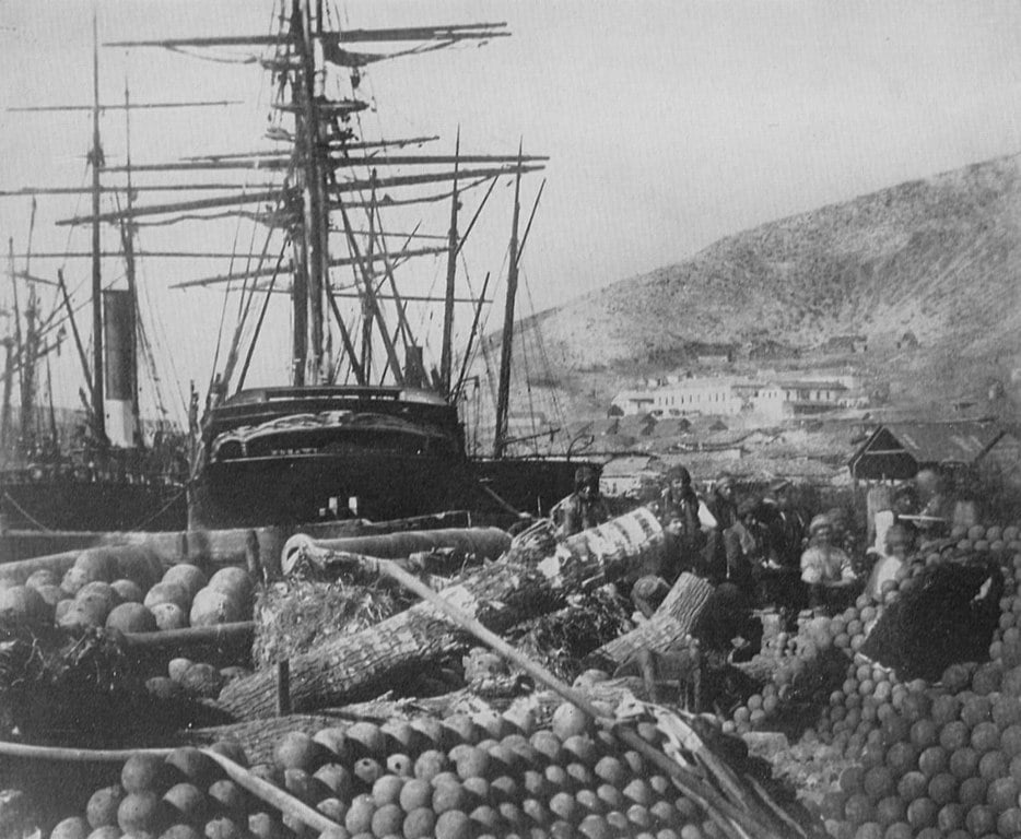 Roger Fenton'ın Hikayesi 17 934px Fenton Roger Versorgungskai Balaclava Zeno Fotografie