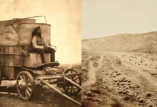 Roger Fenton'ın Hikayesi 8 Roger Fenton Hero