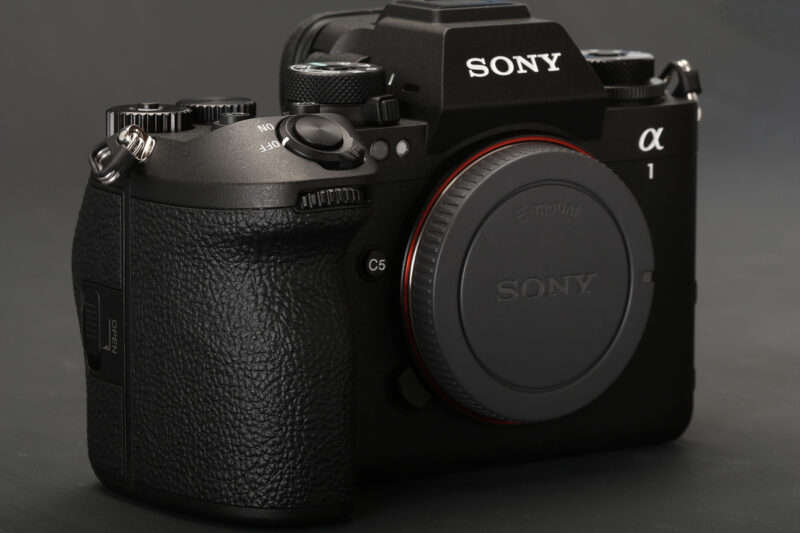 Sony Alpha 1 II 017