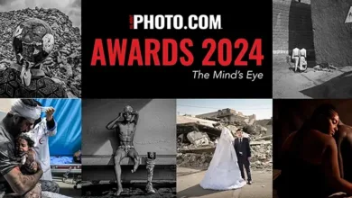 All About Photo Awards 2024 11 All About Photo Awards 2024 header