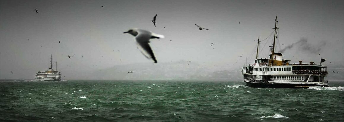 Nuri Bilge Ceylan’ın Fotoğrafları Hollanda’da 2 Nuri Bilge Ceylan Bogazda GemilerShips in the Bosphorus Istanbul 2004 DA NBC 289 image