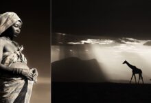 2024 Yılın Seyahat Fotoğrafçısı 2 2024 Yilinin Seyahat Fotografcisi header