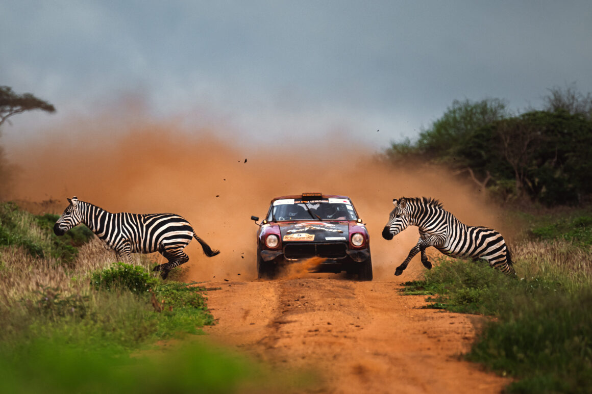 Dünya Spor Fotoğrafçılığı Ödülleri 2025 kazananları 1 Anton anestiev zebra crossing world sports photography awards bronze winner