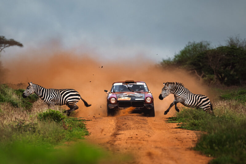Anton anestiev zebra crossing world sports photography awards bronze winner