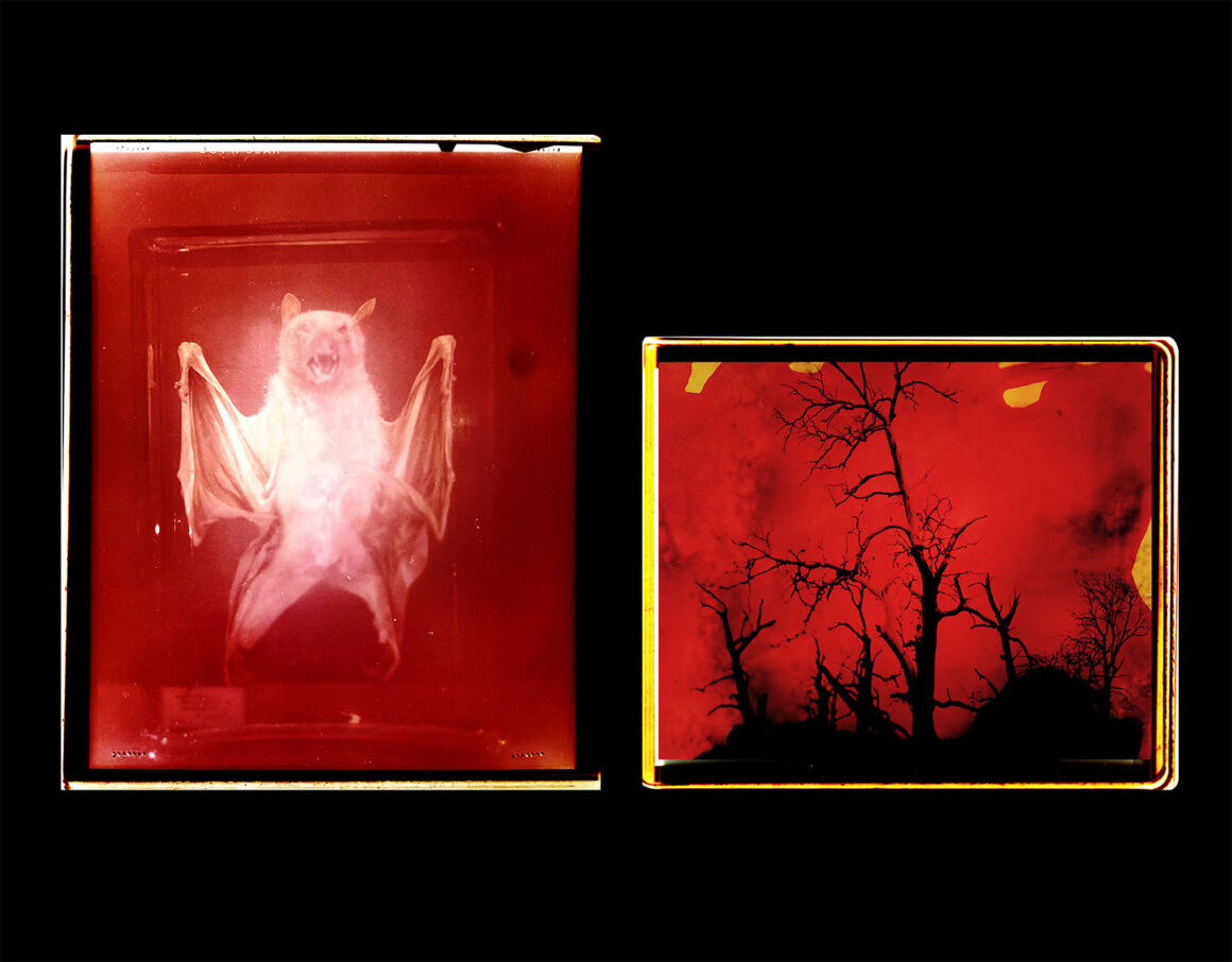 World Press Photo 2024 Bölge Kazananları 51 141 Southeast Asia and Oceania Open Format Aletheia Casey