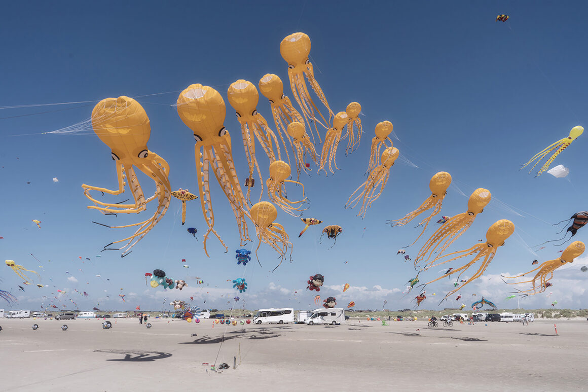 Sony Dünya Fotoğraf Ödülleri 2025 1 Sussi Charlotte Alminde Denmark Winner Open Competition Object Sony World Photography Awards 2025