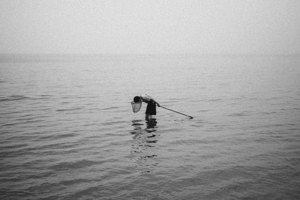 ricoh gr photo festival 2024 29