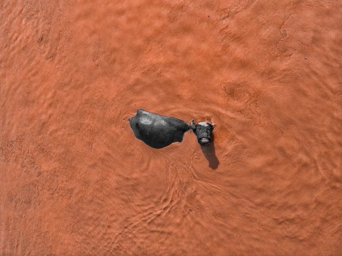 2025 SkyPixel Yarışması kazananları 4 skypixel ab gusai mud bath bliss