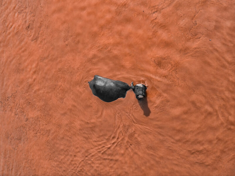 skypixel ab gusai mud bath bliss