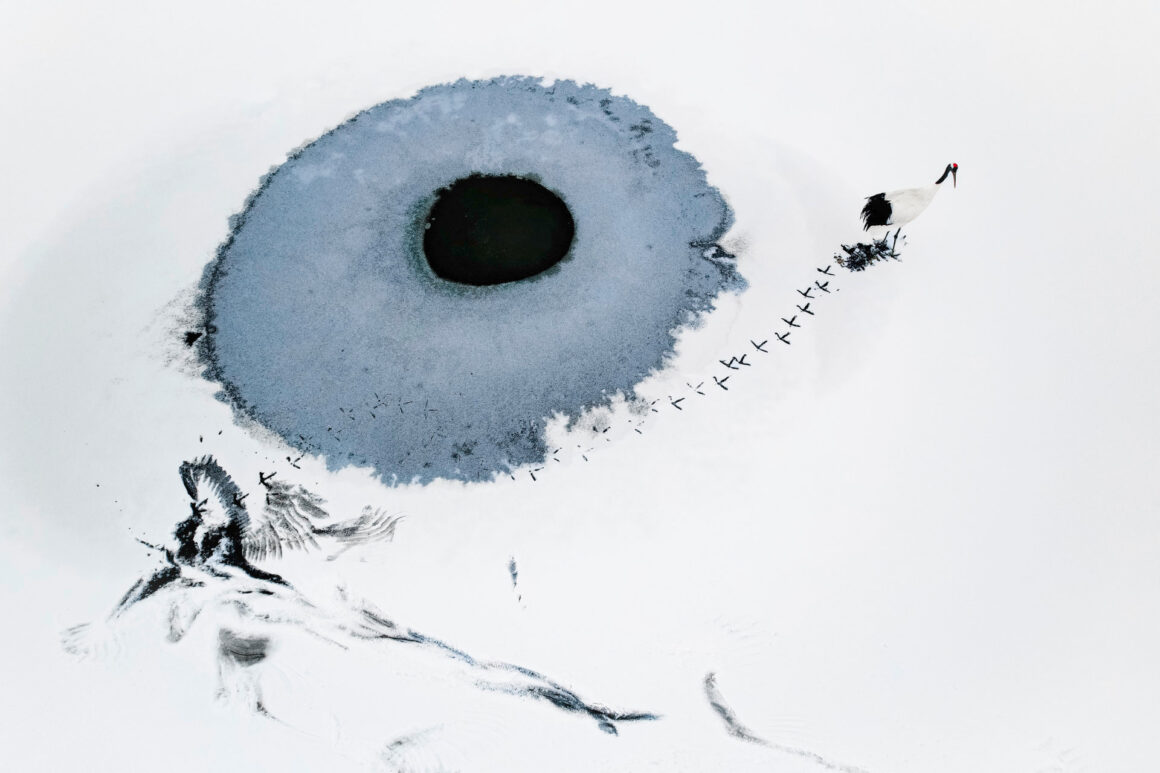 2025 SkyPixel Yarışması kazananları 3 skypixel annual best photo Gangerqia