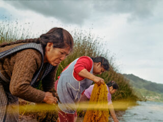 © Nicolas Garrido Huguet Peru Winner Professional competition Environment Sony World Photography Awards 2025 9