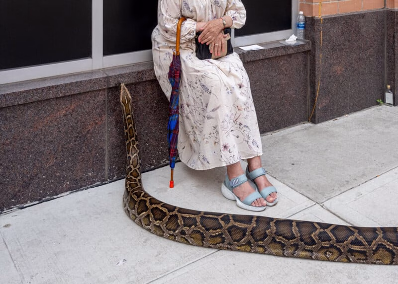 Pure Street Photography Grant 2025 4 3 2ndPlace AmyHorowitz USA 800x572 1