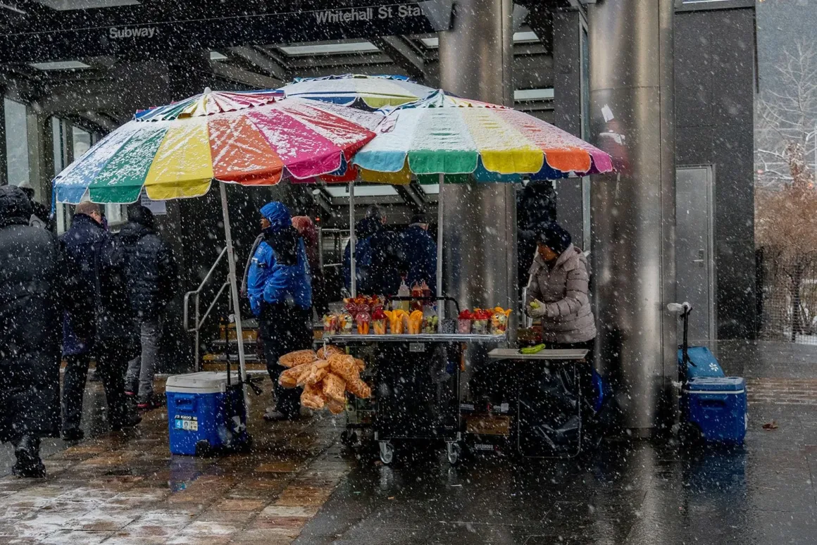 8 Ellen Speiser Tropical Fruits in Snowstorm Hi Res